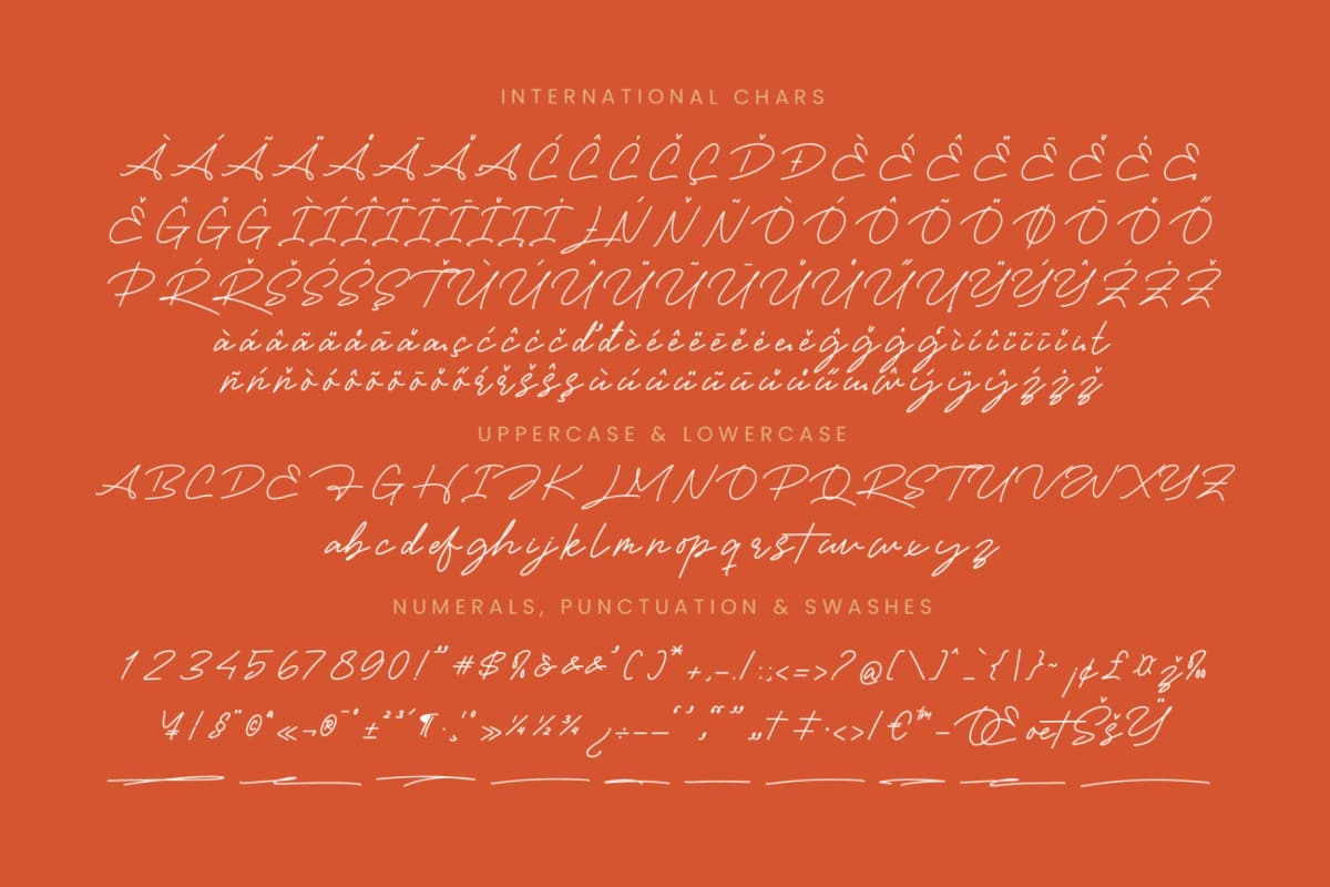 Preview 18 for Victoria Montera - Monoline Signature Font
