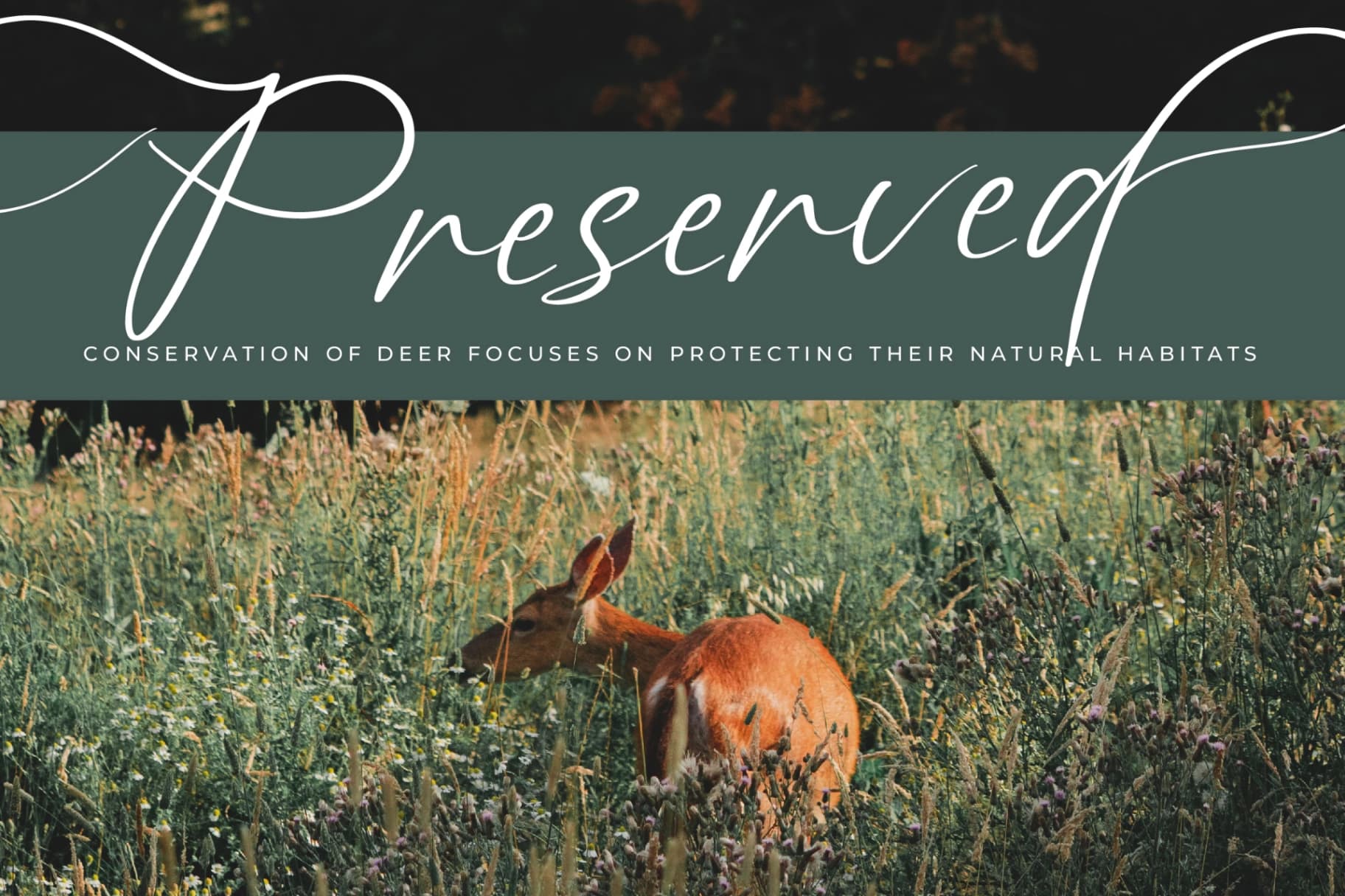 Preview 2 for Angelin Noonday - Stylish Handwritten Font
