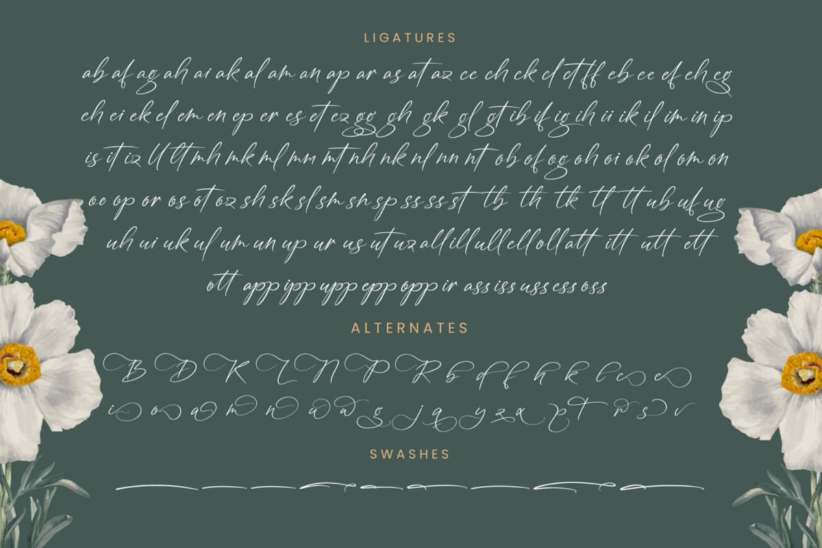 Angelin Noonday - Stylish Handwritten Font font preview 19