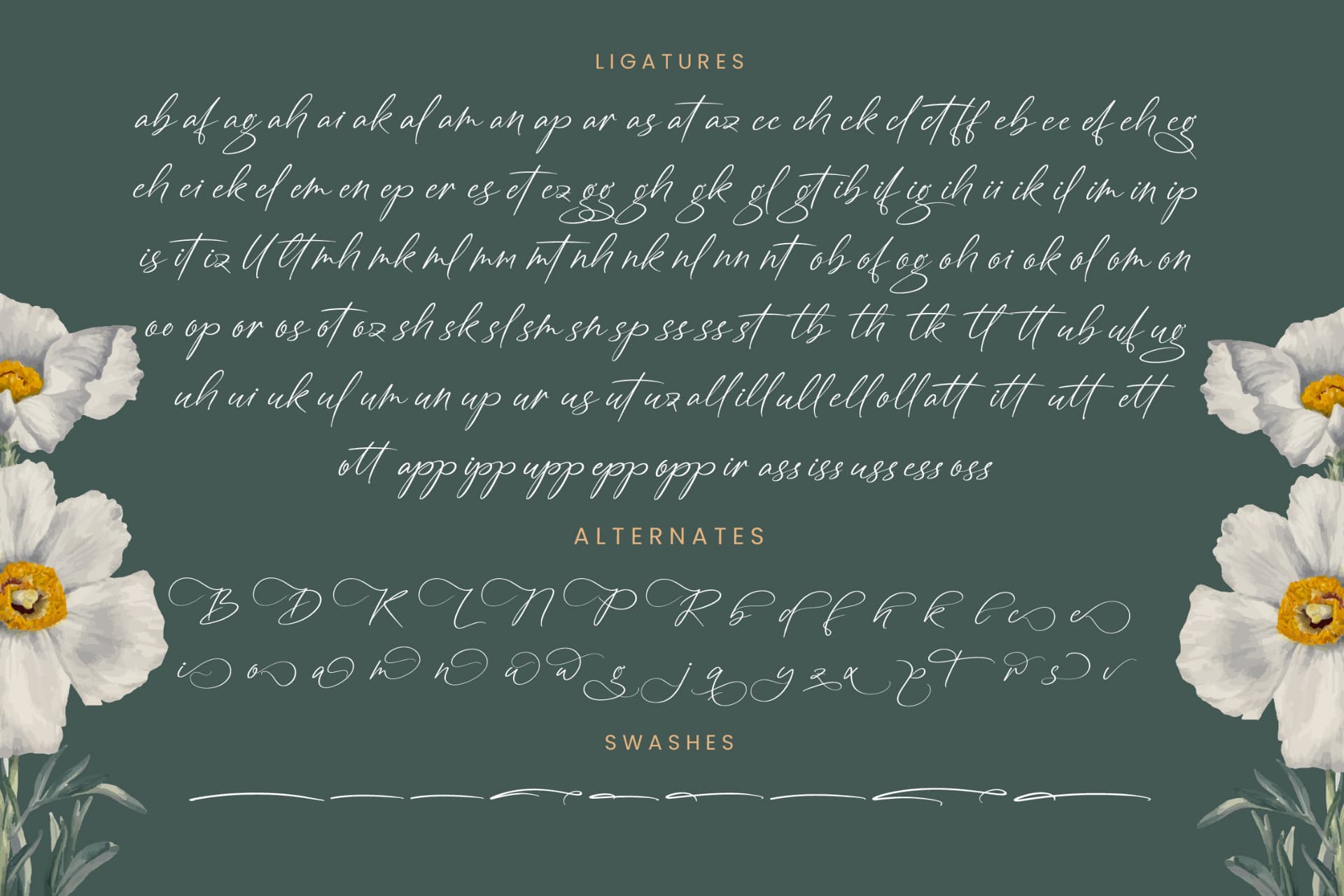 Preview 19 for Angelin Noonday - Stylish Handwritten Font