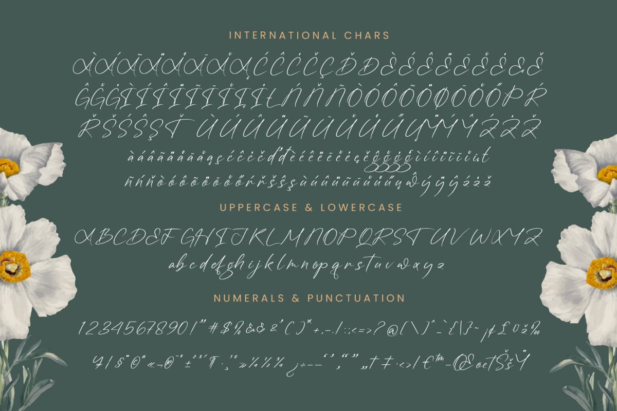 Angelin Noonday - Stylish Handwritten Font font preview 18