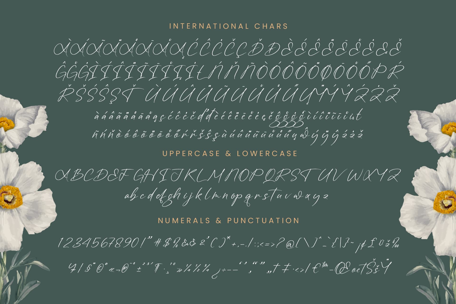 Preview 18 for Angelin Noonday - Stylish Handwritten Font