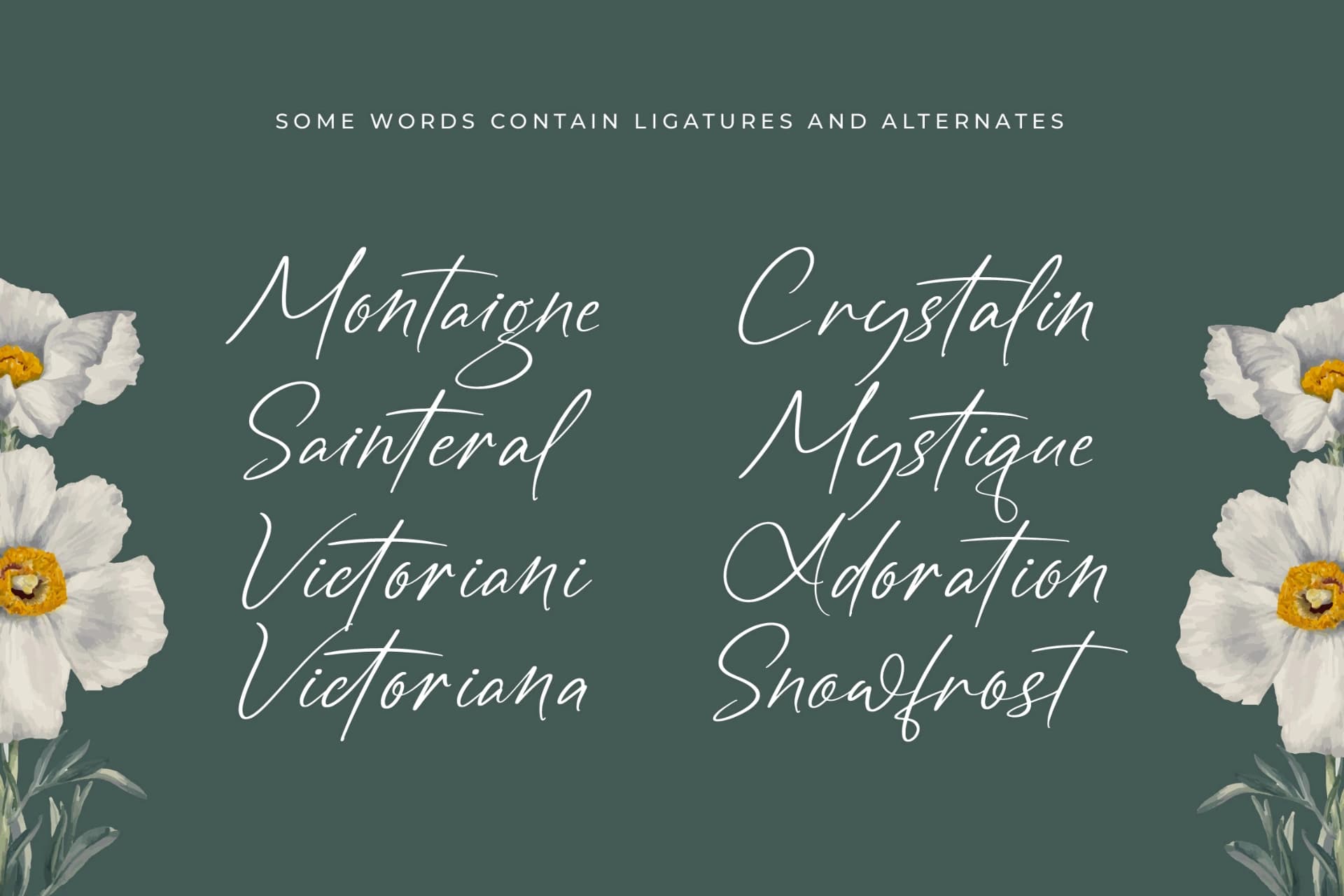 Preview 14 for Angelin Noonday - Stylish Handwritten Font