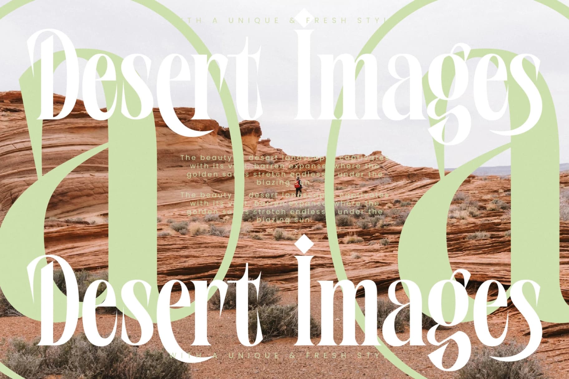 Preview 13 for Wafterlic - Modern Display Serif