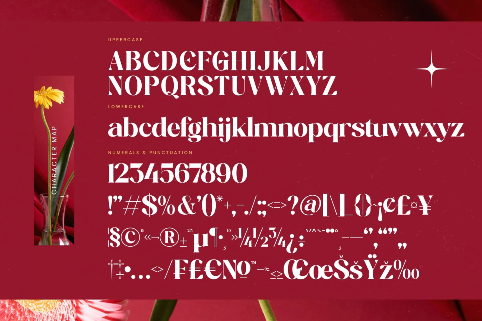 Preview 18 for Regita Glamor - Bold Serif Display Font