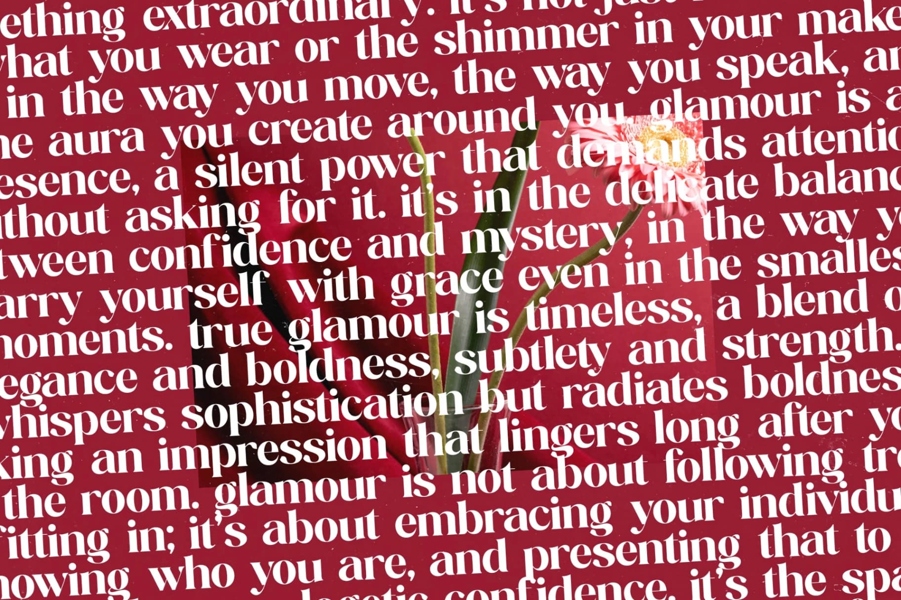 Preview 15 for Regita Glamor - Bold Serif Display Font