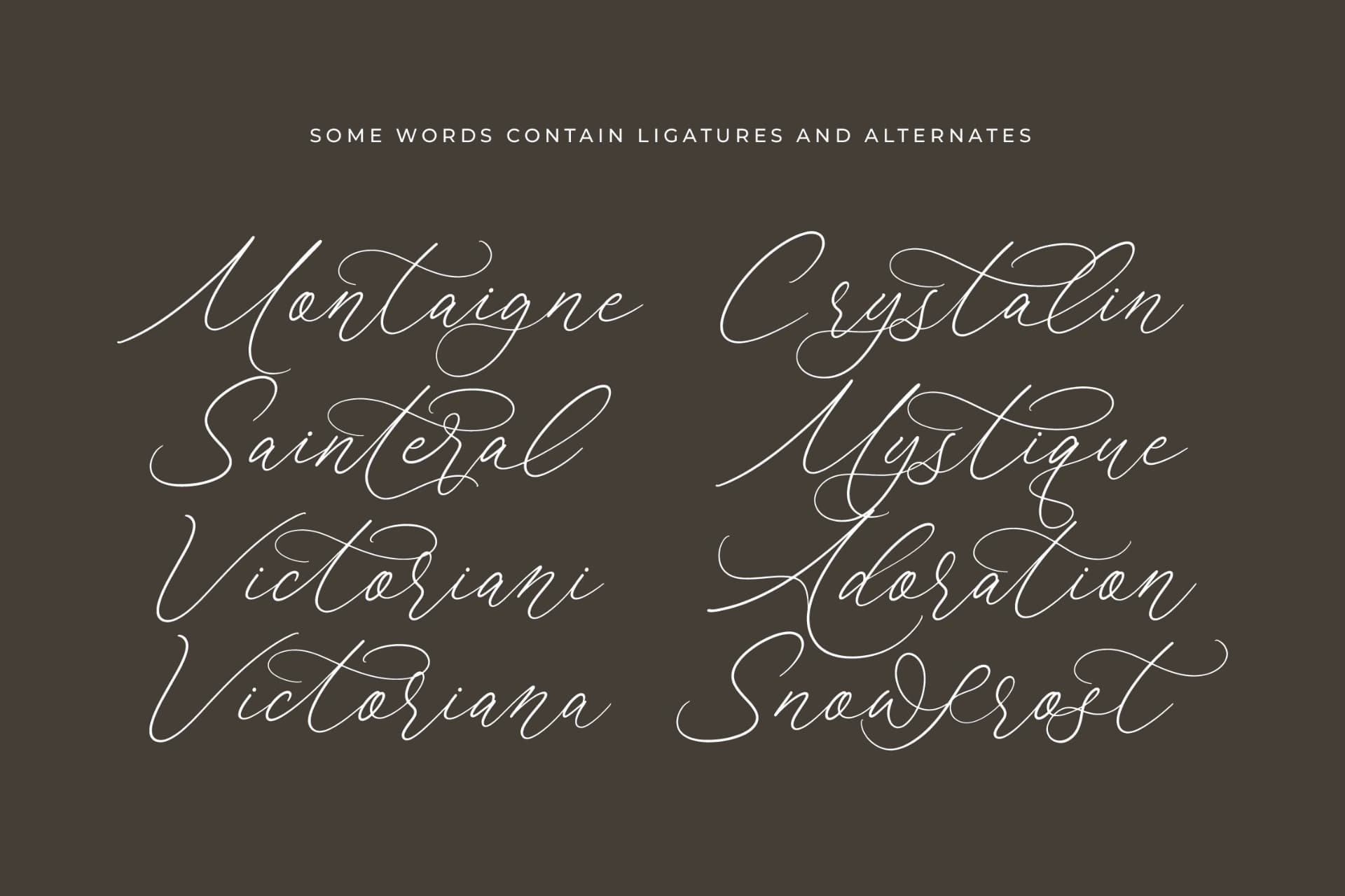 Preview 13 for Anchesty Montaine - Stylish Calligraphy Font