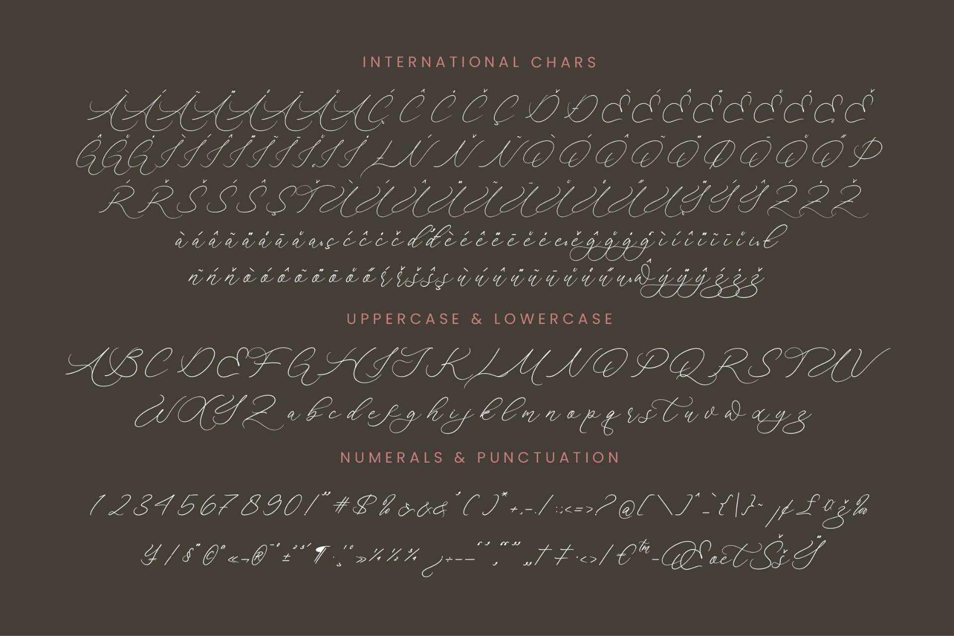 Preview 18 for Anchesty Montaine - Stylish Calligraphy Font