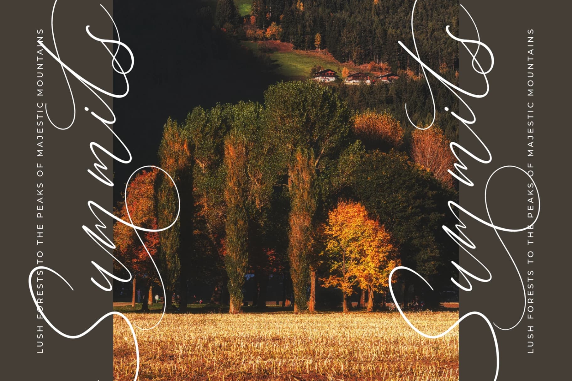 Preview 7 for Anchesty Montaine - Stylish Calligraphy Font