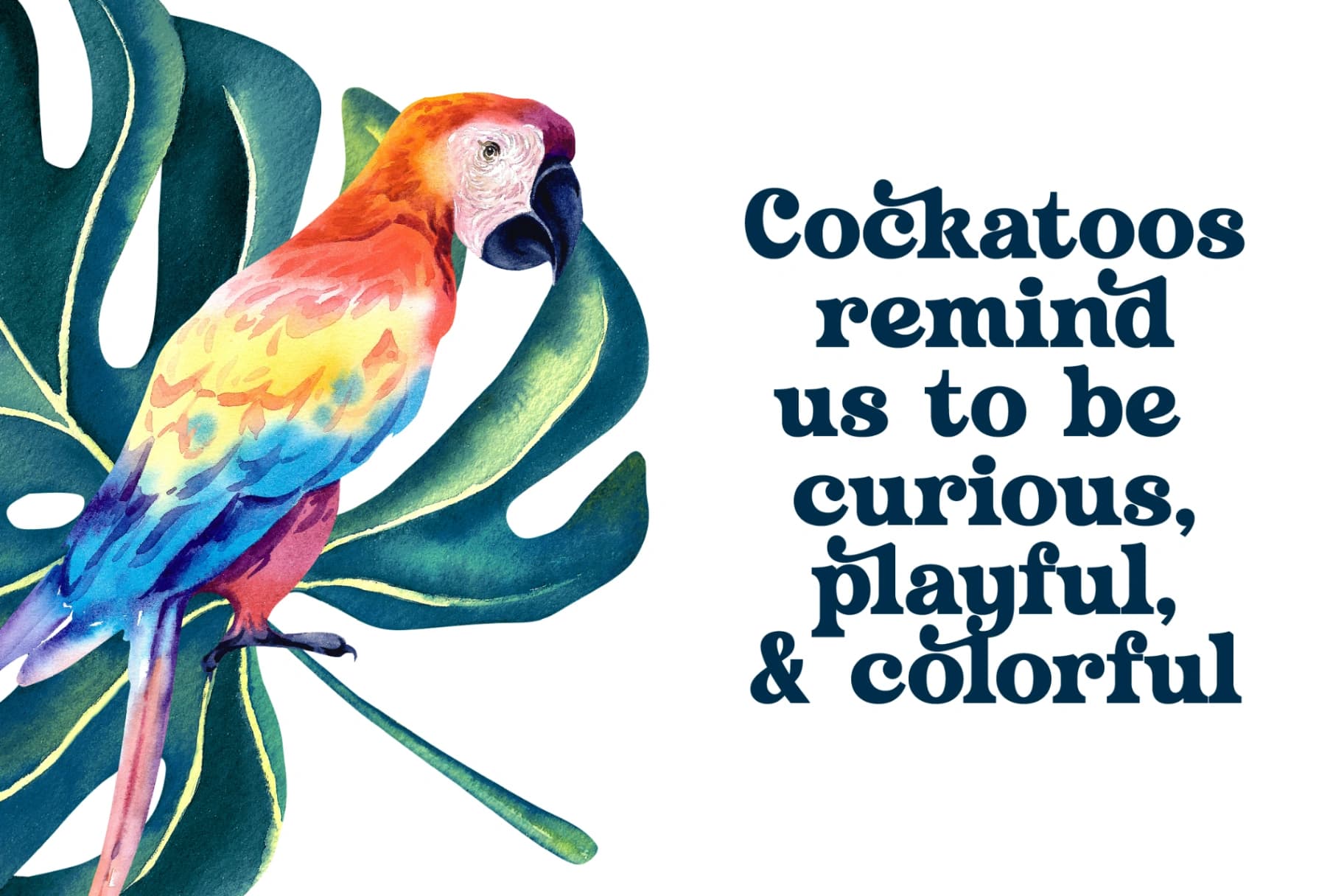 Preview 14 for Husty Birds - Modern Retro Serif