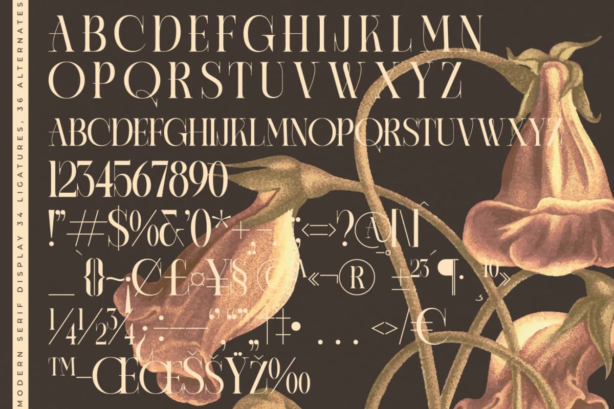 Caroowa - Modern Serif Display font preview 18