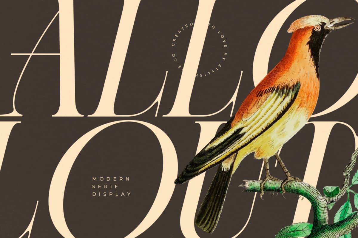 Caroowa - Modern Serif Display font preview 8