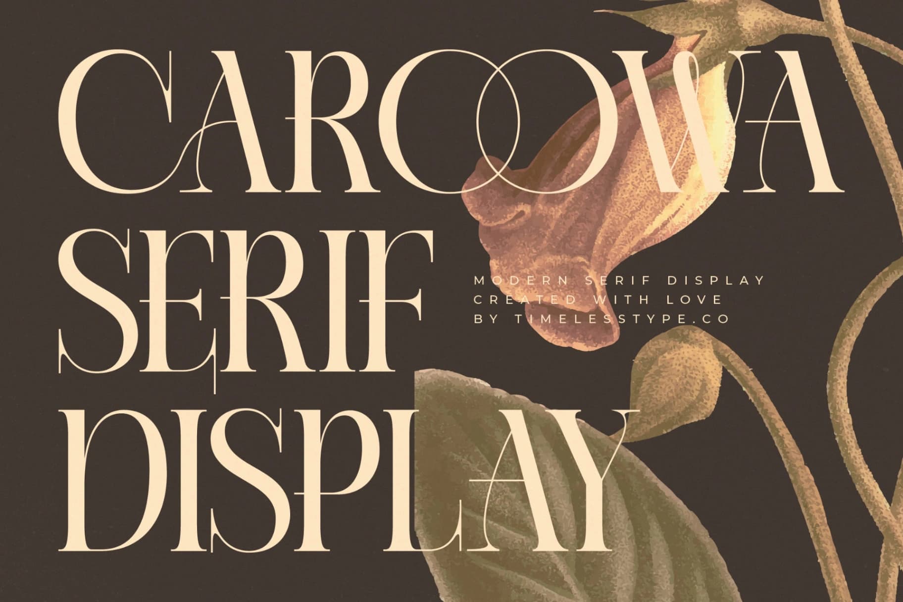 Preview of Caroowa - Modern Serif Display font