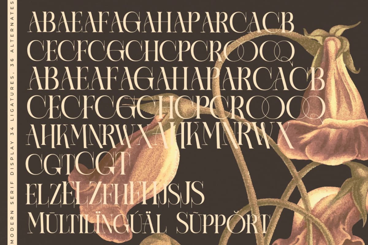 Caroowa - Modern Serif Display font preview 19