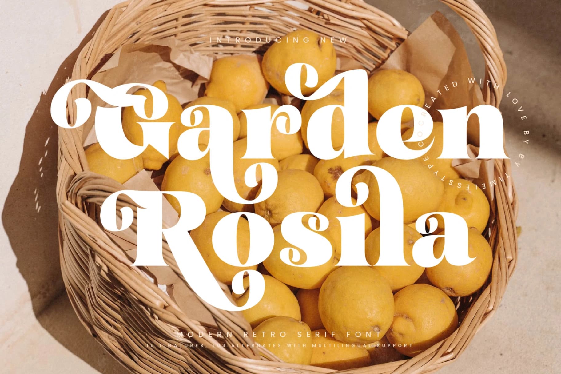 Preview 1 for Garden Rosila - Modern Retro Serif Font