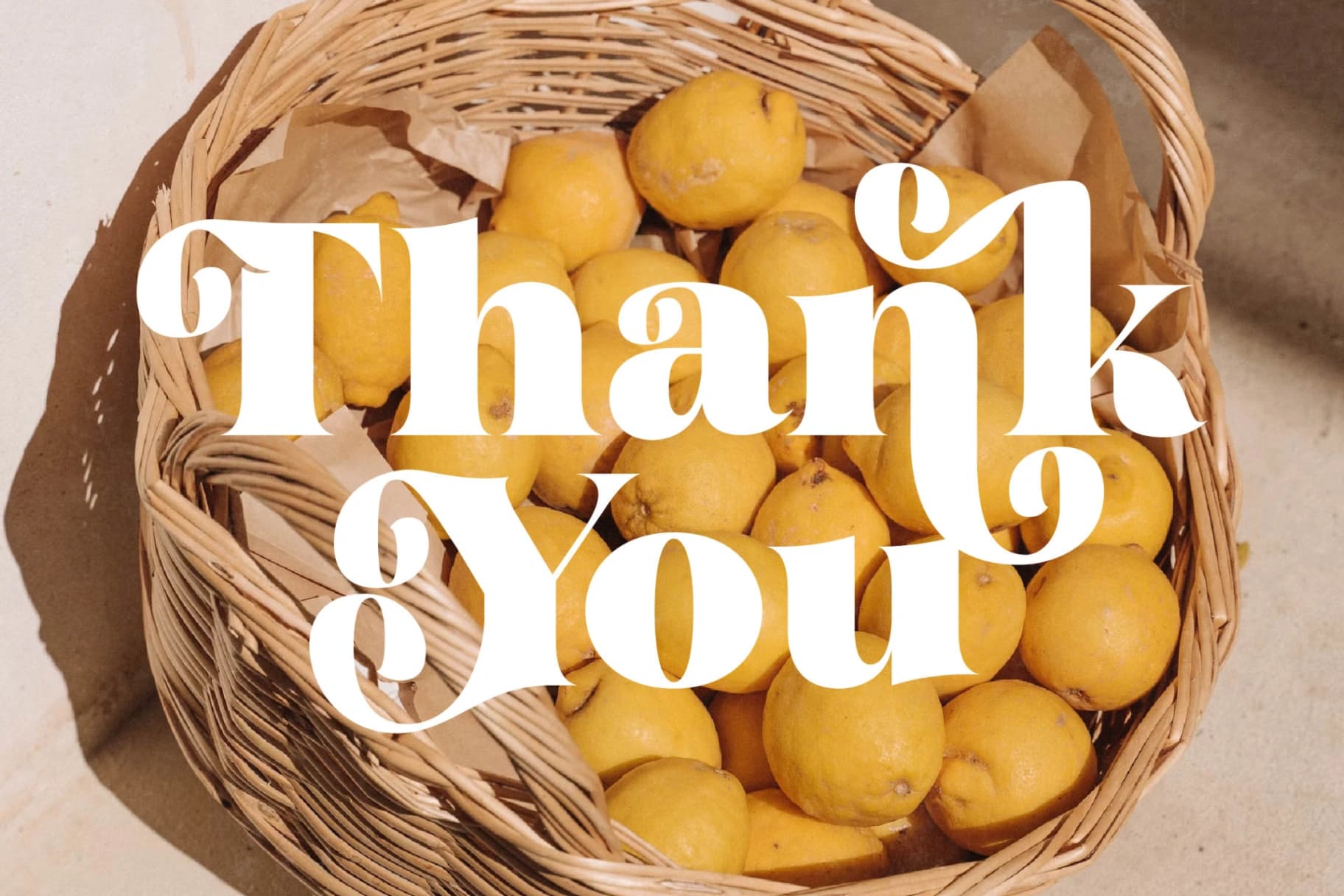 Preview 20 for Garden Rosila - Modern Retro Serif Font