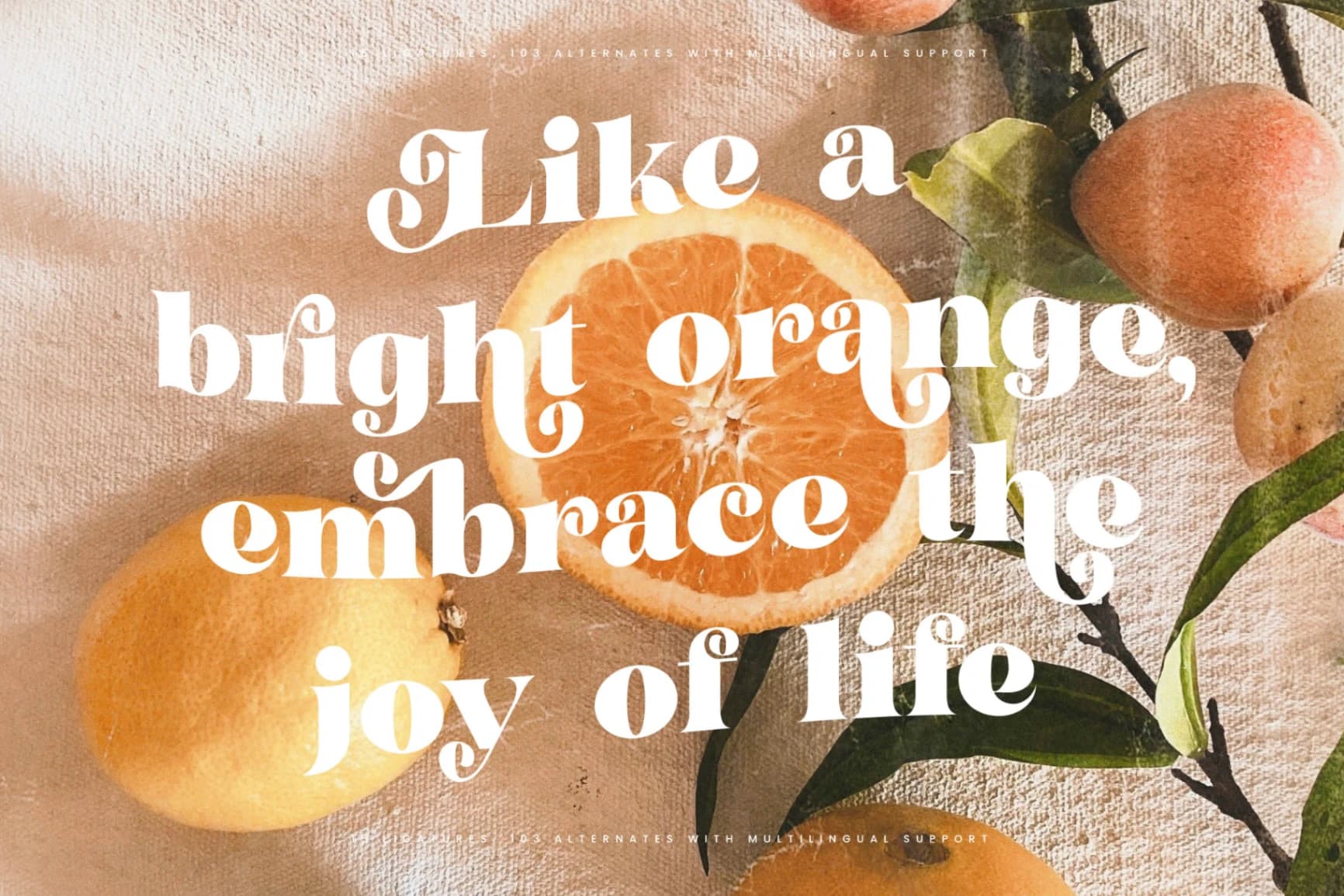 Preview 4 for Garden Rosila - Modern Retro Serif Font