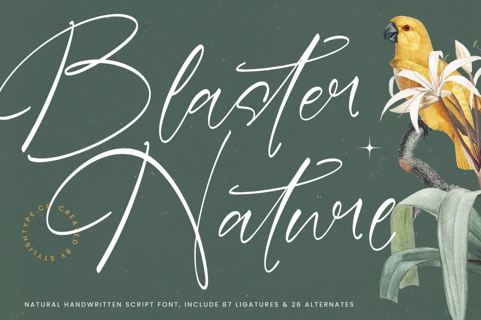 Preview of Blaster Nature - Natural Handwritten Script Font font