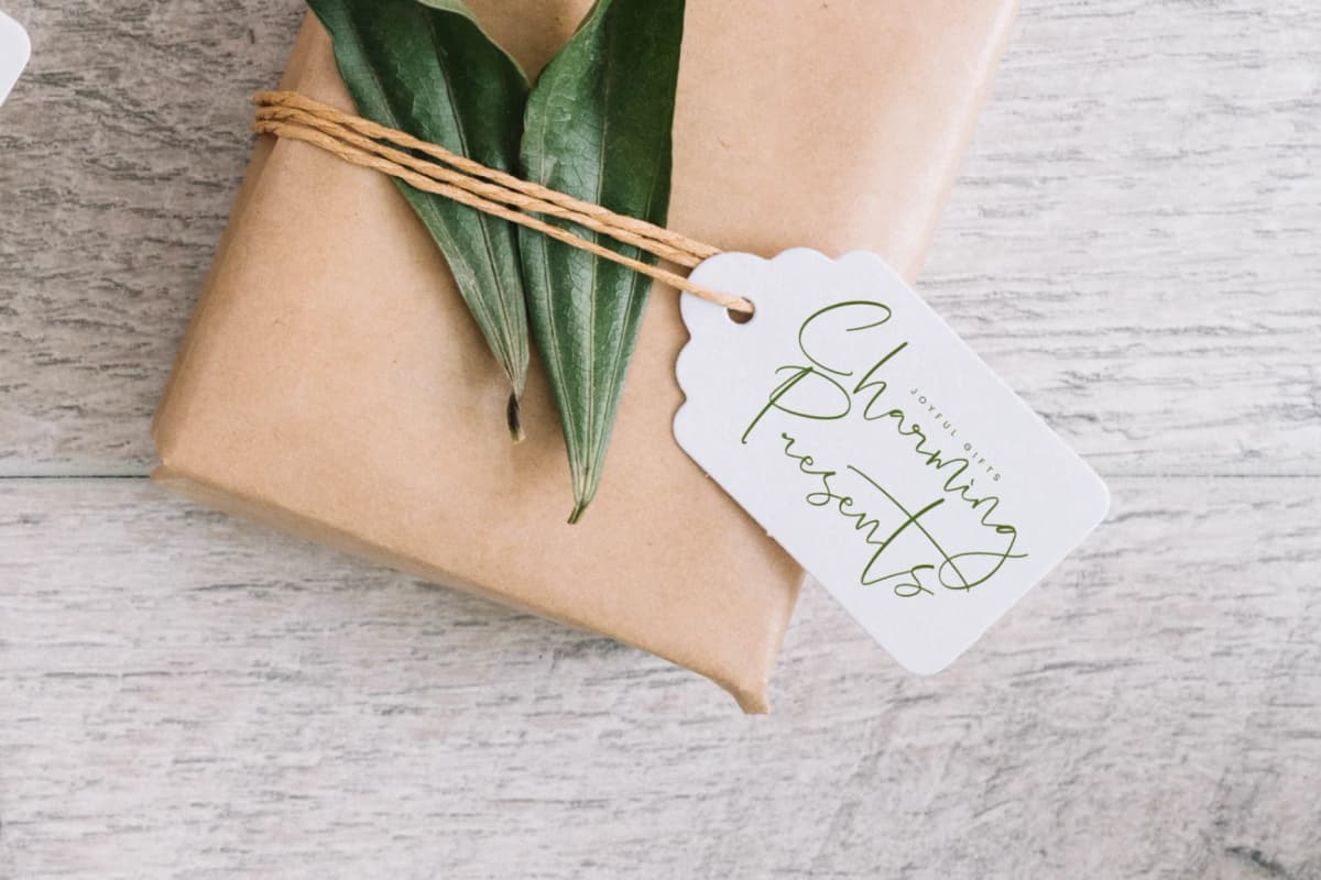Hideaway Camphions - Modern Handwritten Script font preview 3