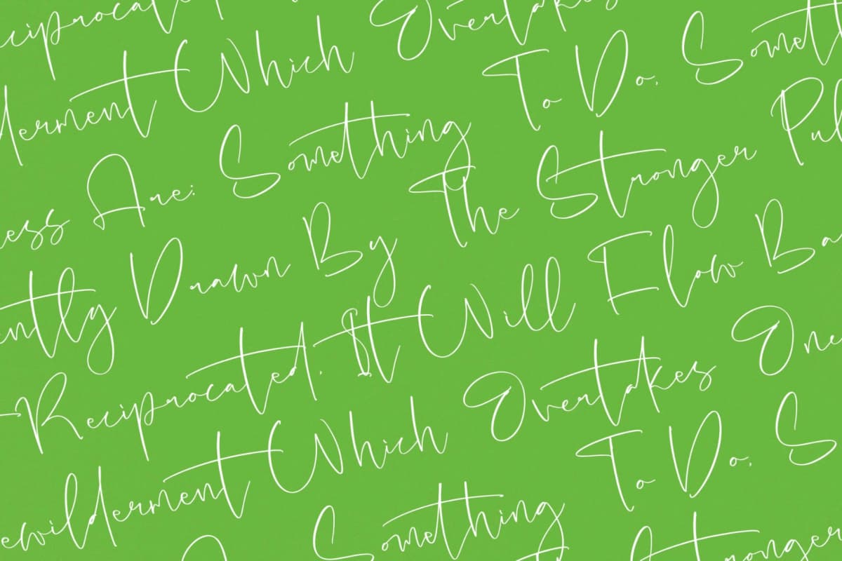 Hideaway Camphions - Modern Handwritten Script font preview 9