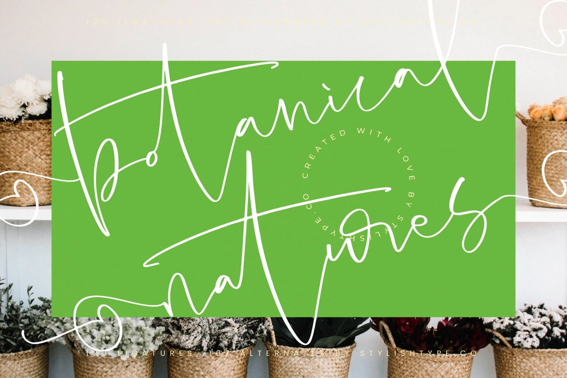 Preview 8 for Hideaway Camphions - Modern Handwritten Script