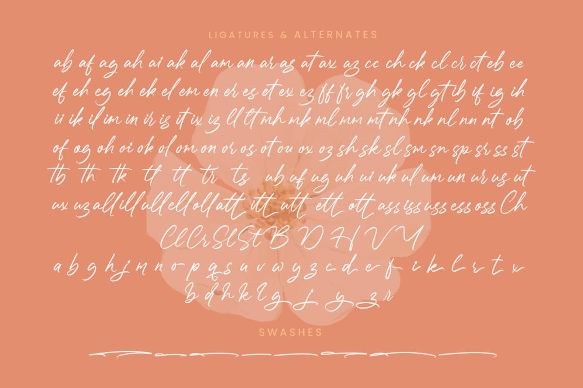 Preview 19 for Chatryne Stugarl - Stylish Handwritten