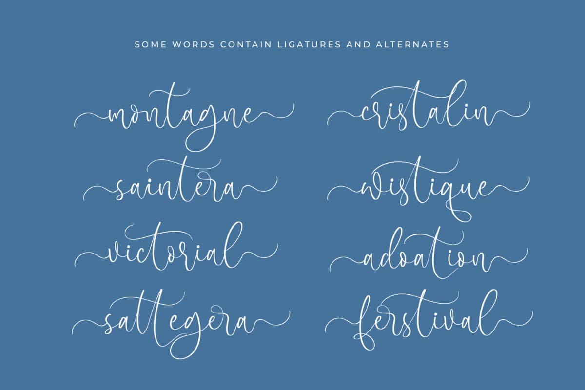 Preview 17 for Frostsky Pinthera - Stylish Calligraphy Font