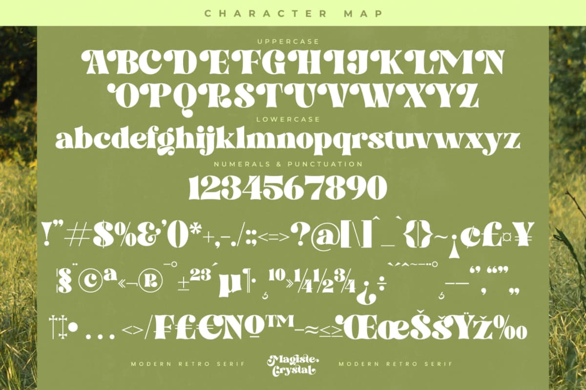 Magiste Crystal - Modern Retro Serif Font font preview 18