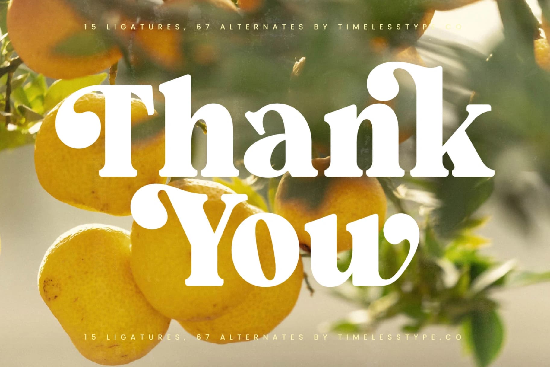 Preview 20 for Forest Realm - Modern Retro Serif Font