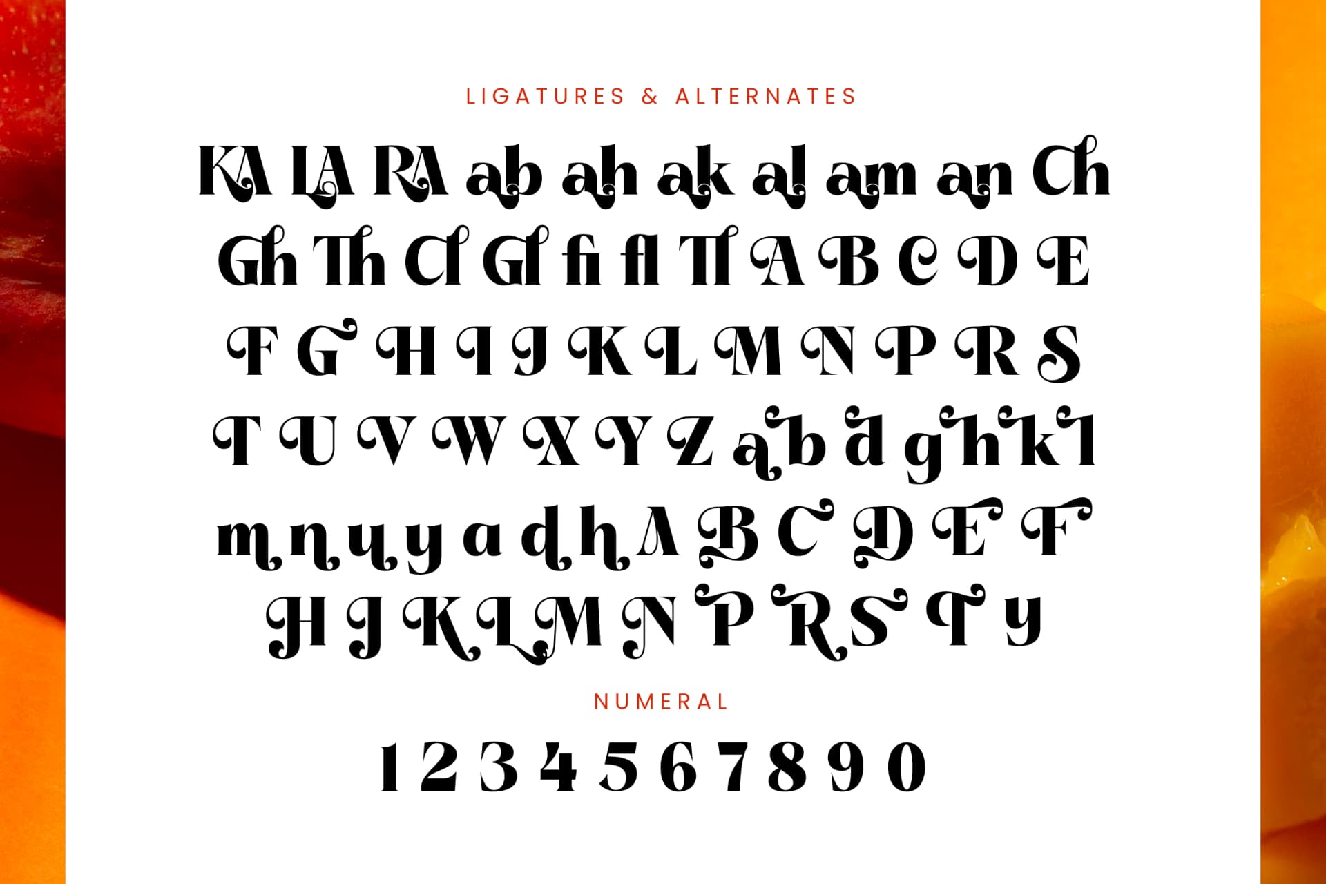 Preview 18 for Pramid Mango - Display Serif Font