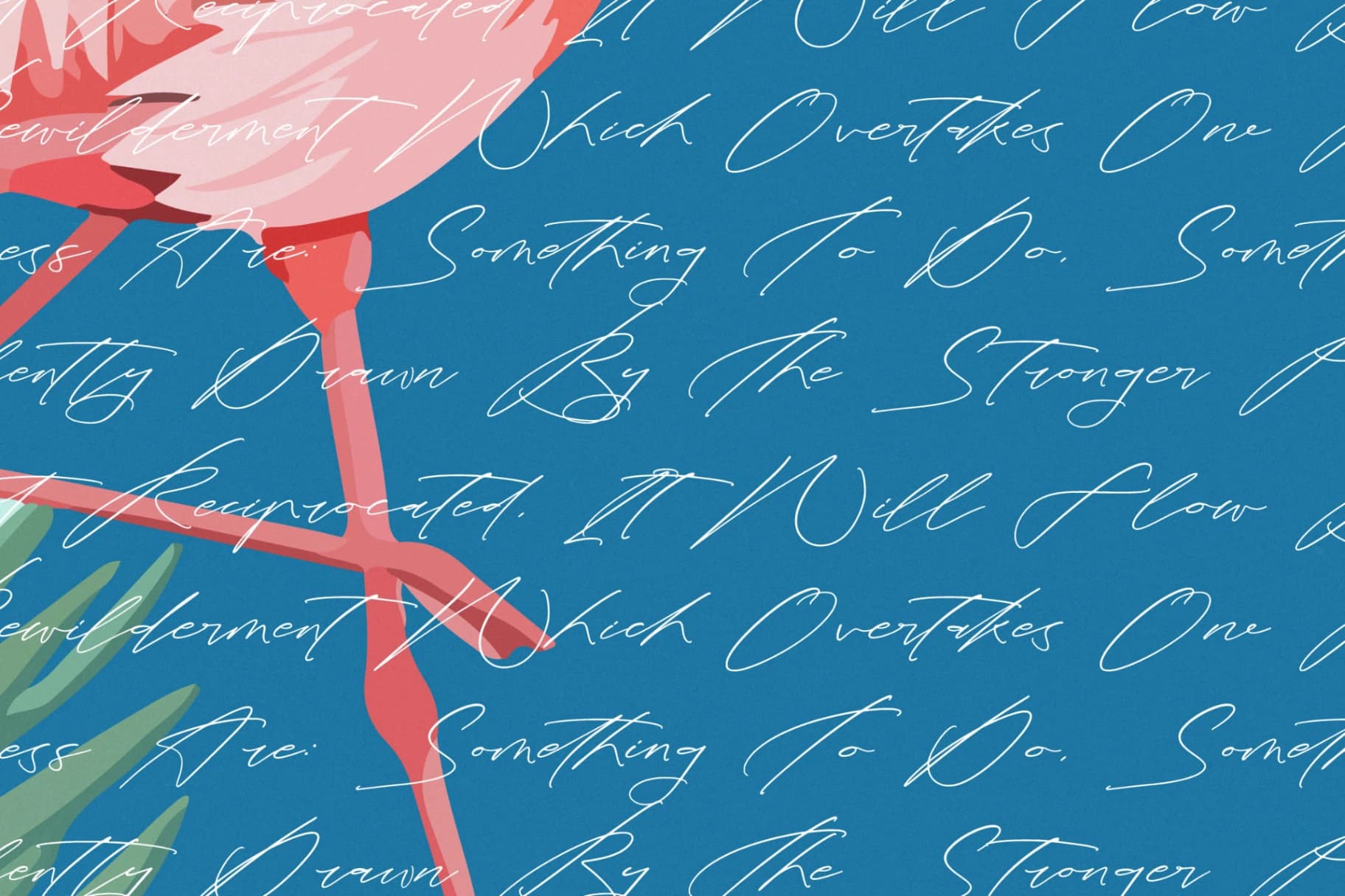 Preview 9 for Tropicals Graceful - Modern Calligraphy Script