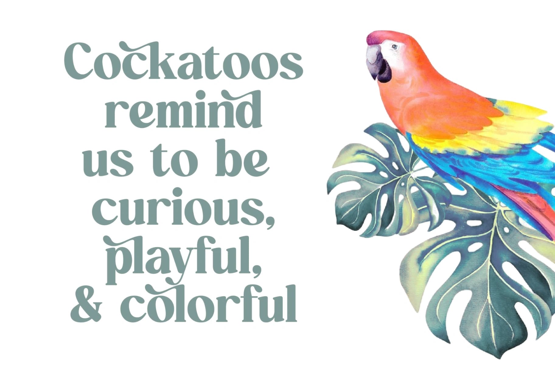 Preview 12 for Quick Beach - Modern Retro Serif Font