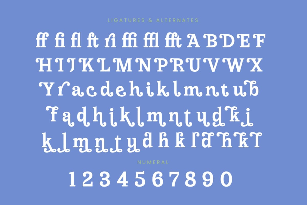 Preview 18 for Meridi Rolitud - Modern Alternate Serif