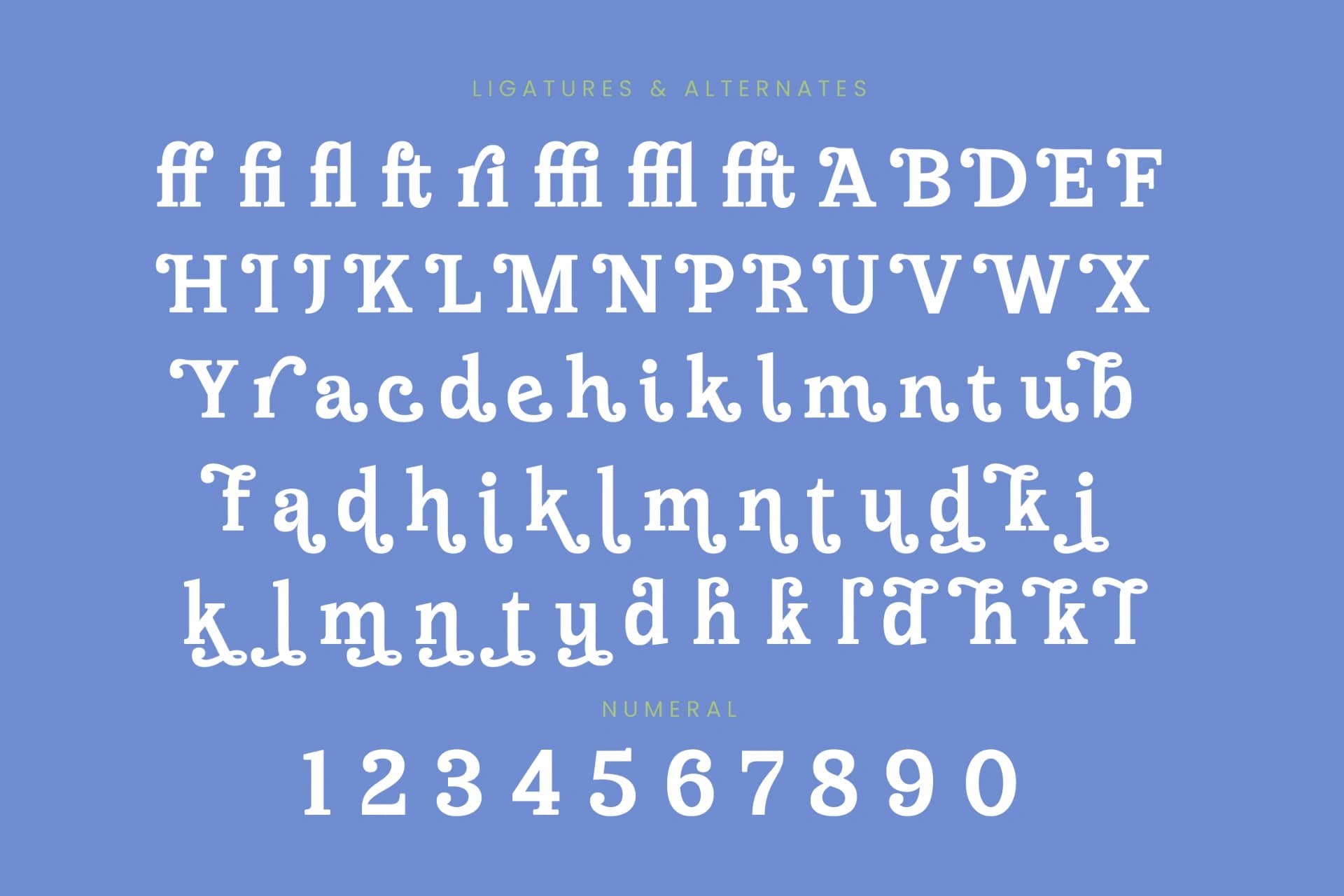 Preview 18 for Meridi Rolitud - Modern Alternate Serif
