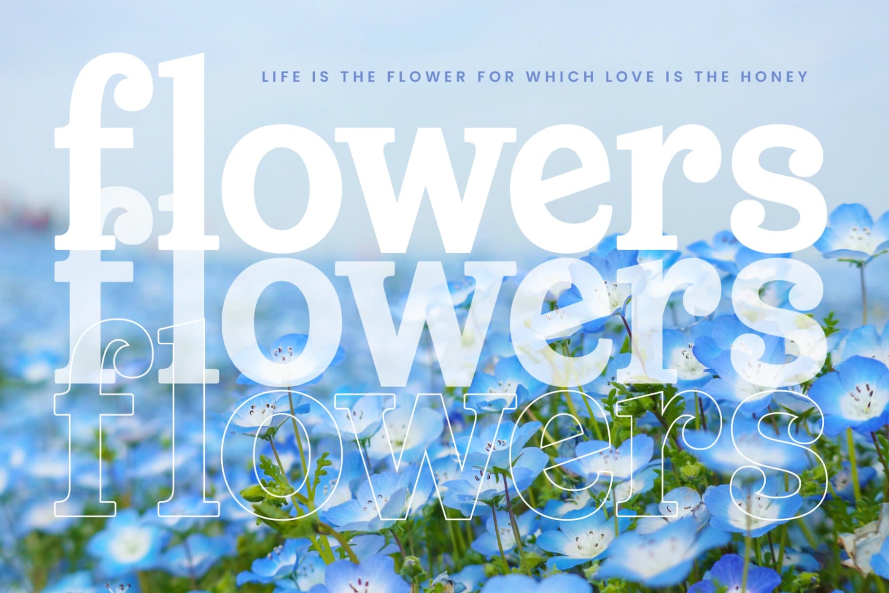 Preview 12 for Meridi Rolitud - Modern Alternate Serif