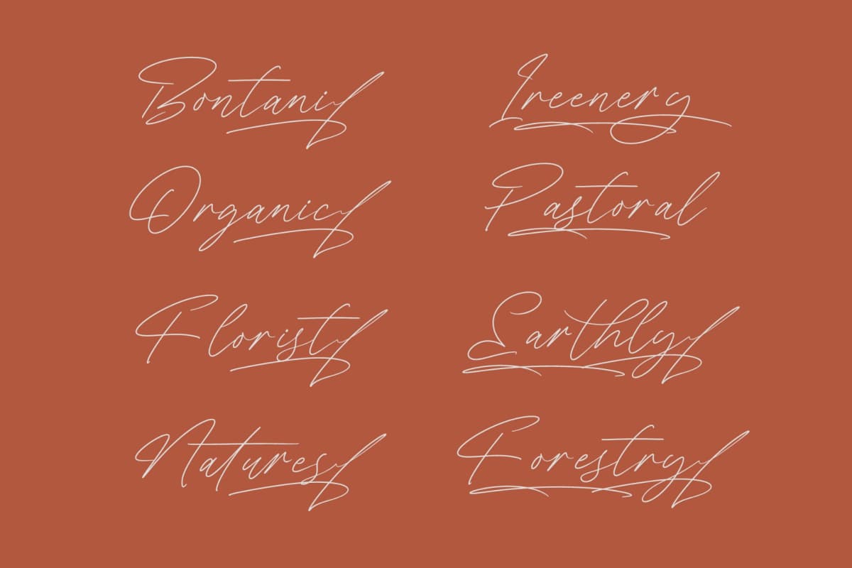 President Mistera - Modern Signature Font font preview 11