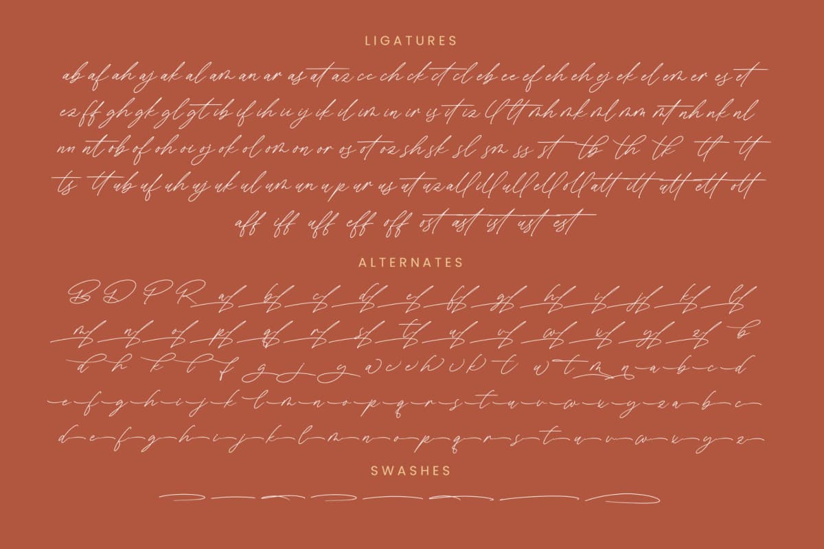 President Mistera - Modern Signature Font font preview 19
