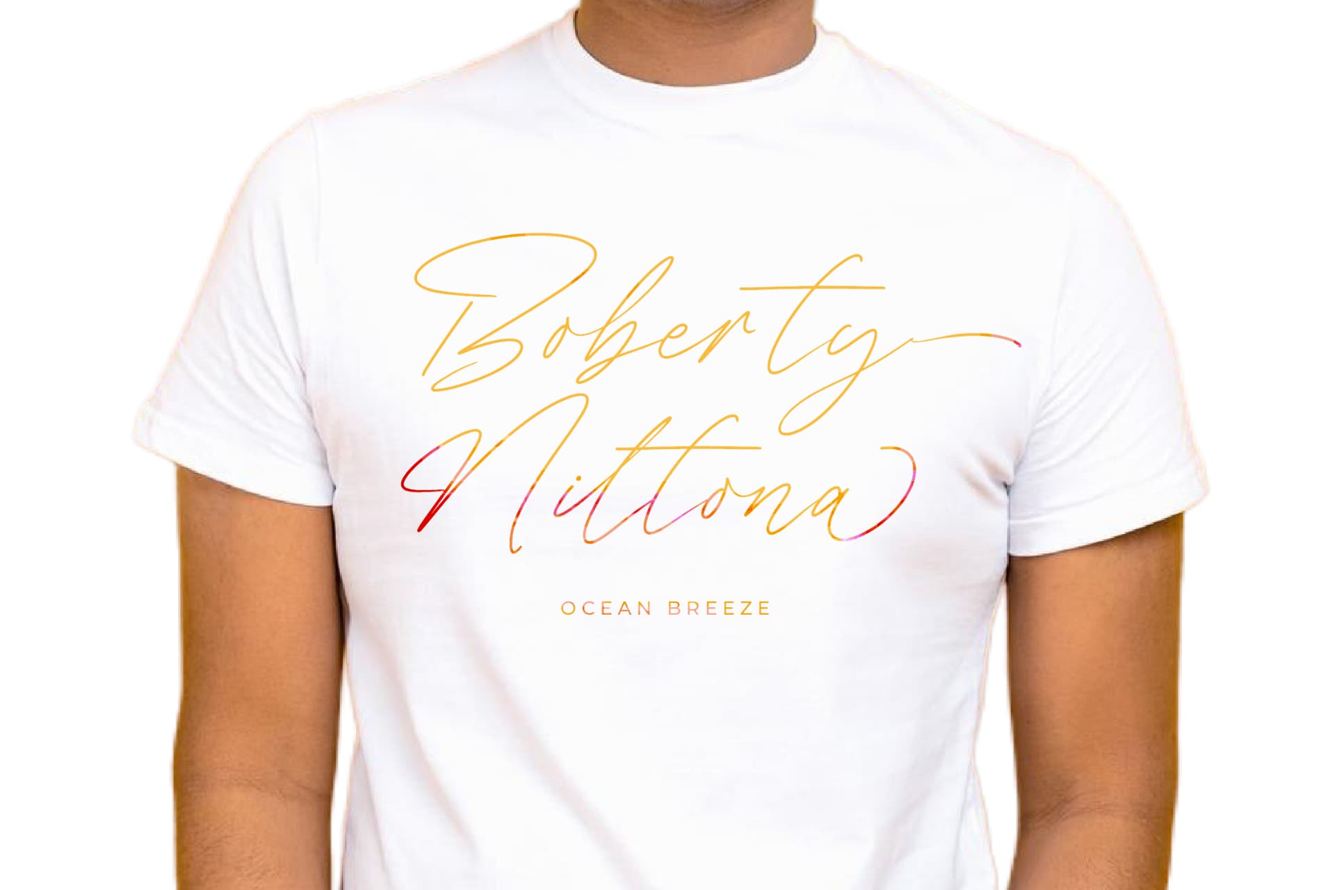 Preview 6 for President Mistera - Modern Signature Font