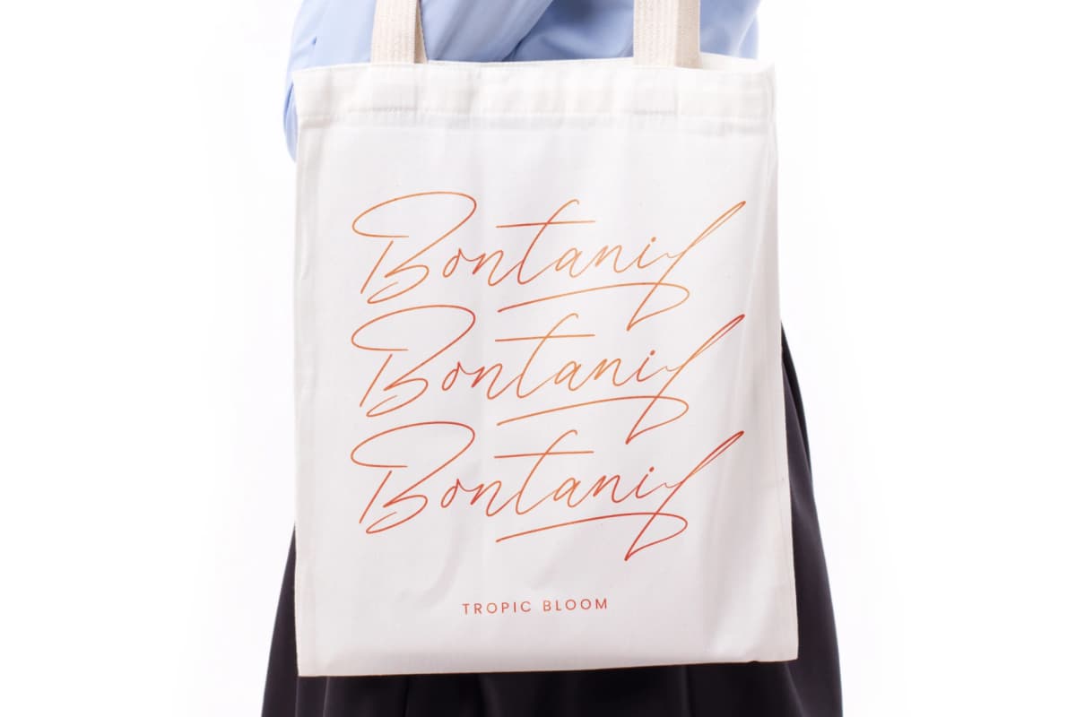 President Mistera - Modern Signature Font font preview 14