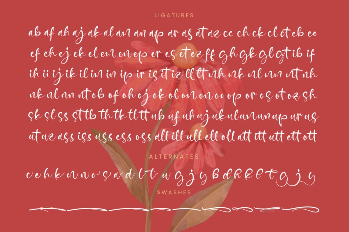 Byrole Roneta - Quirky Handwritten Font font preview 19