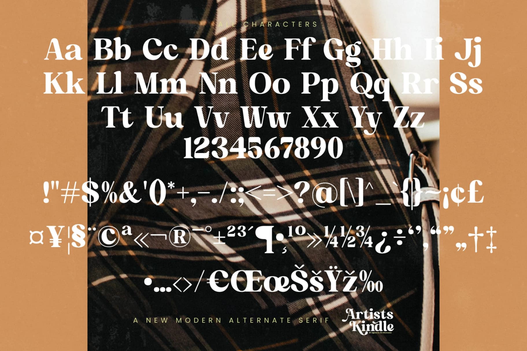 Preview 18 for Artists Kindle - New Modern Alternate Serif