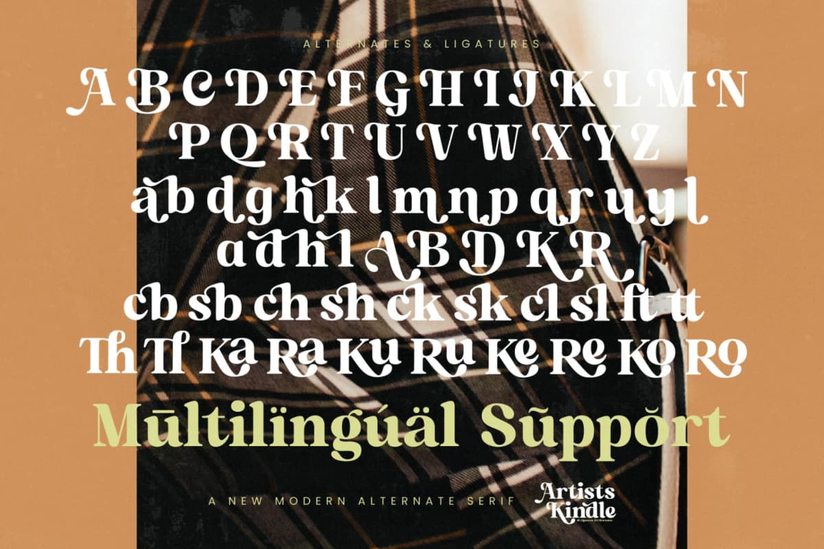 Preview 19 for Artists Kindle - New Modern Alternate Serif
