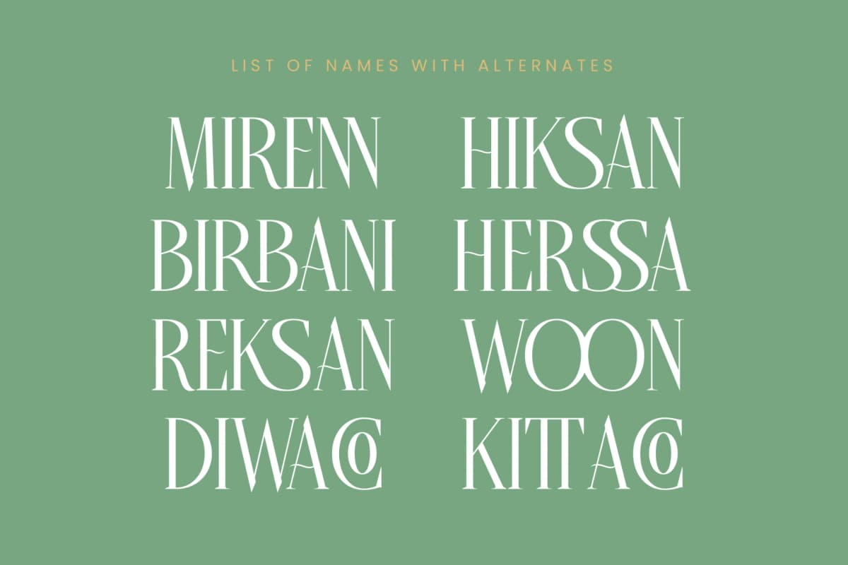 Preview 14 for Belhinco - Display Serif Font