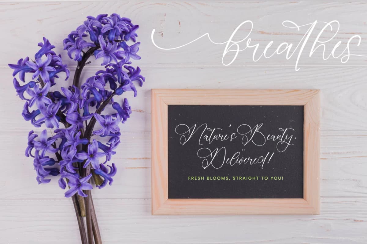 Julieta Imelda - Stylish Calligraphy Font font preview 11