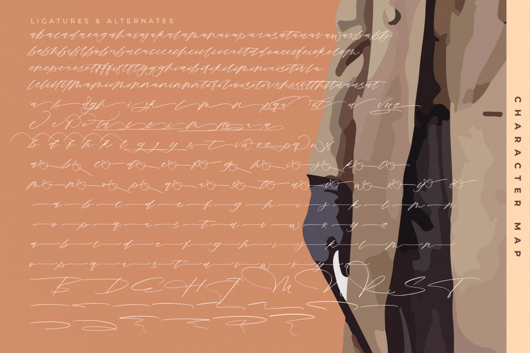 Preview 19 for Roterdam Aromatic - Modern Calligraphy Script