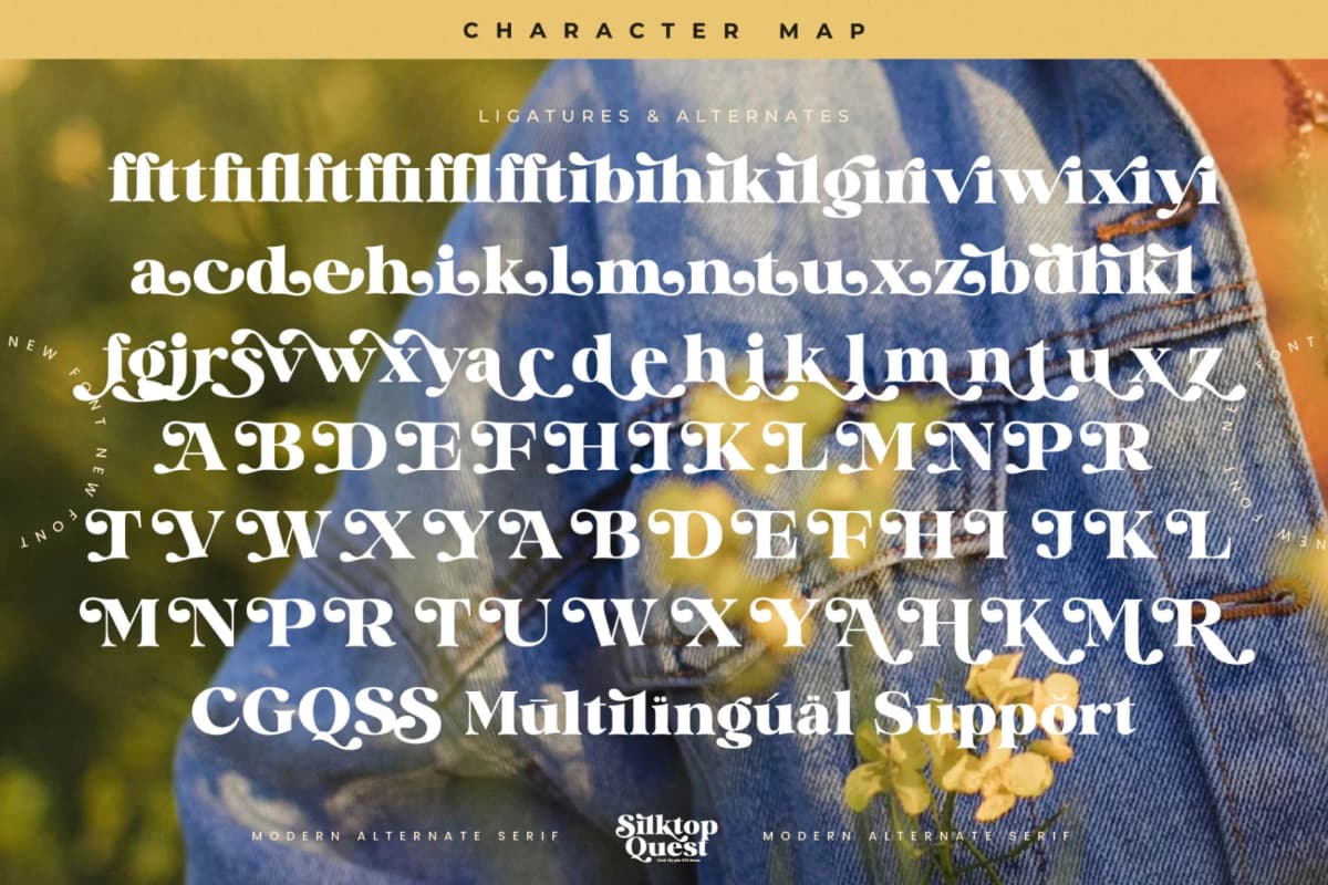 Preview 19 for Silktop Quest - Modern Alternate Serif