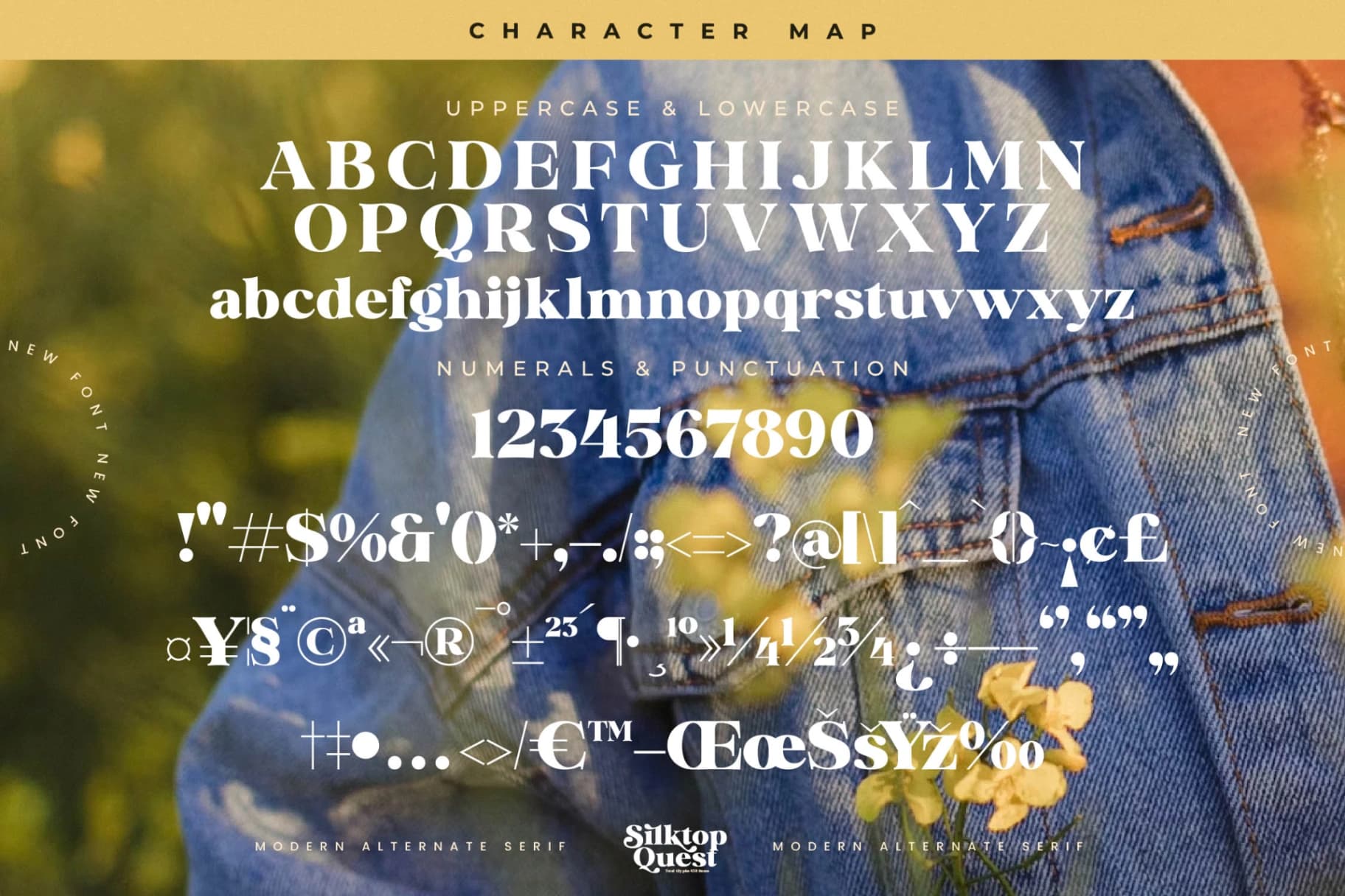 Preview 18 for Silktop Quest - Modern Alternate Serif