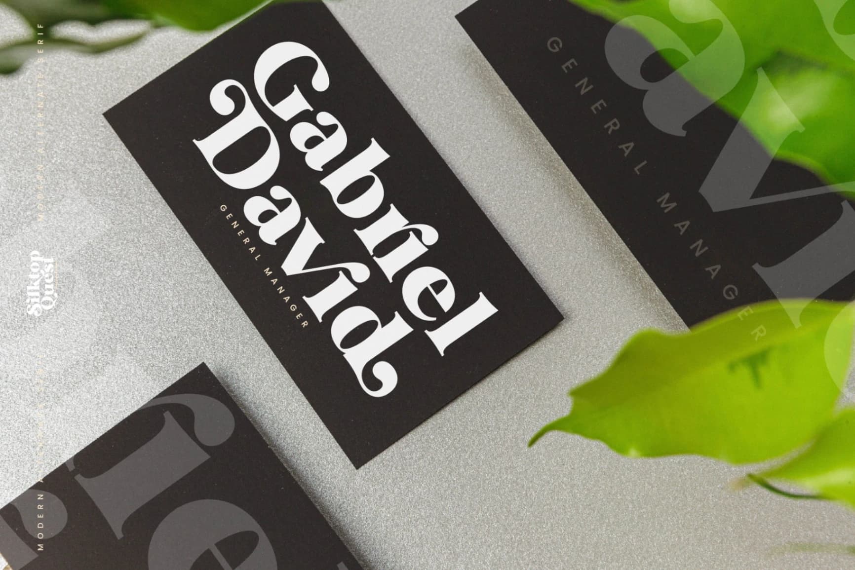 Preview 10 for Silktop Quest - Modern Alternate Serif