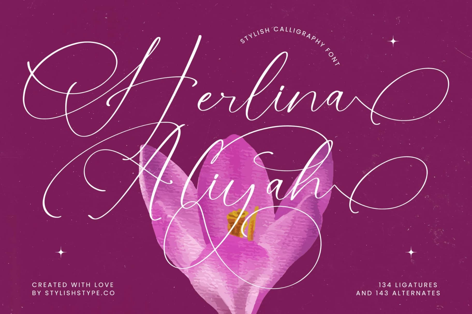Preview 1 for Herlina Aliyah - Stylish Calligraphy Font