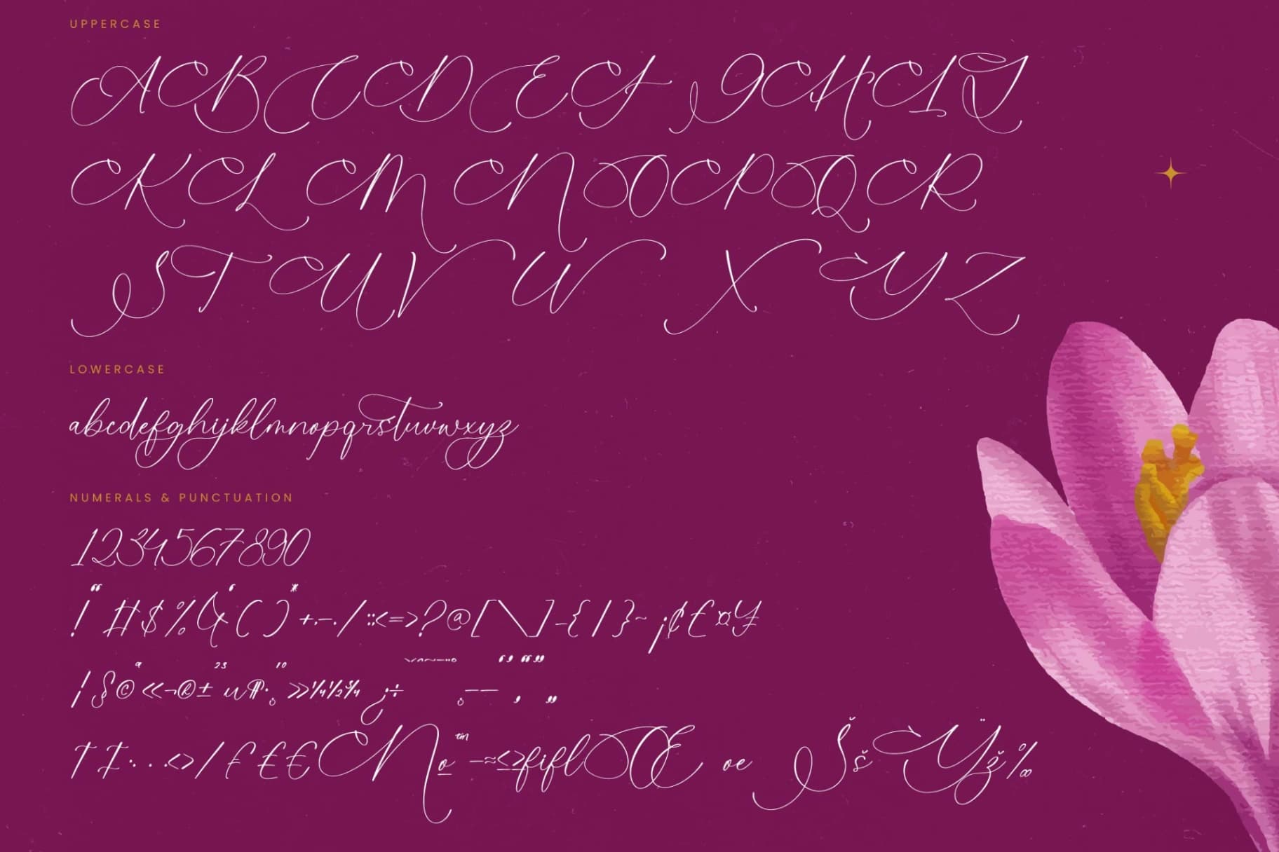 Preview 18 for Herlina Aliyah - Stylish Calligraphy Font